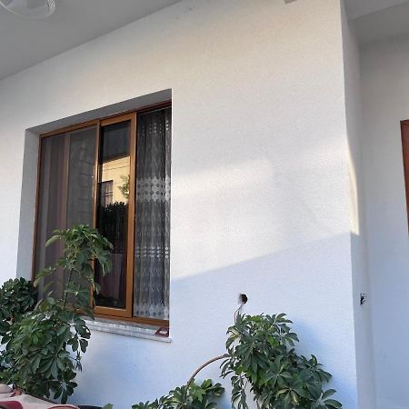 David Guesthouse شكودر المظهر الخارجي الصورة
